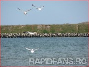 <<->> APASA pentru FOTO la dimensiunea mare <<->> <<->> 2007.04.14 Farul-RAPID (105)